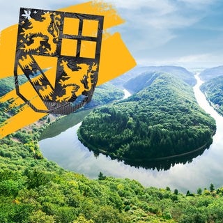Eine Reporterin mit Mikrofon, im Hintergrund ein Bild der Saarschleife und darüberdas Saarland Wappen aus Tape.